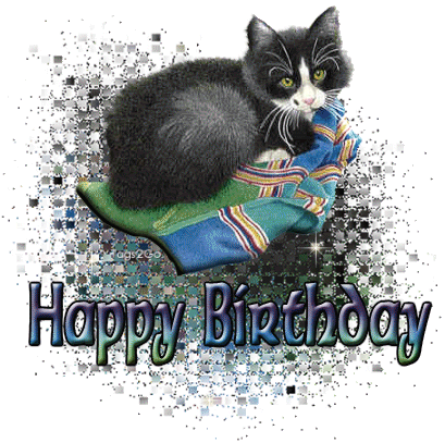 Birthday Cat Gif - Happy Birthday Animated Gif, Glitter Image - Animated  Image Pic